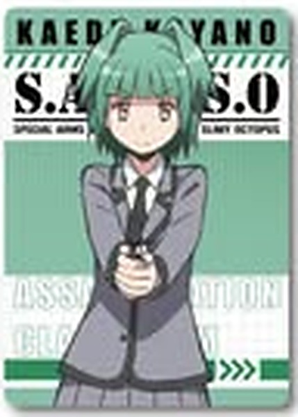 茅野楓